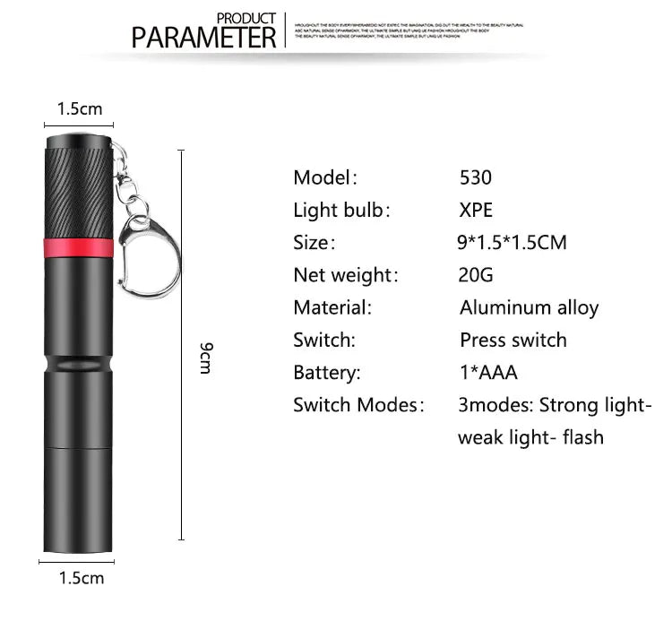 LED Pen Light Keychain